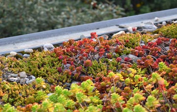 the cost of Crown Corner green roof installation