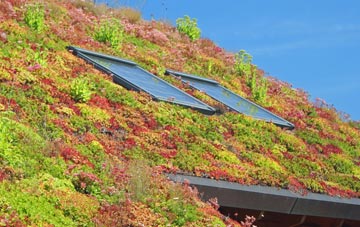 Crown Corner living roof systems