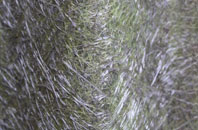 Crown Corner fibreglass roof work